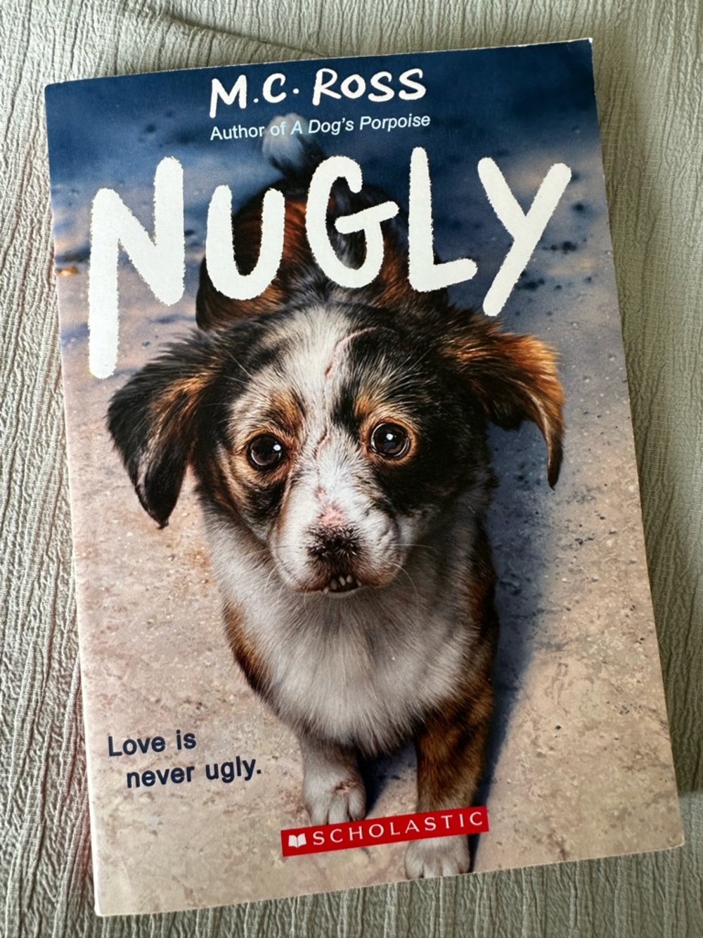 Scholastic Nugly Dog Cover — Blue and Brown Design